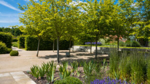 ontwerp tuin
